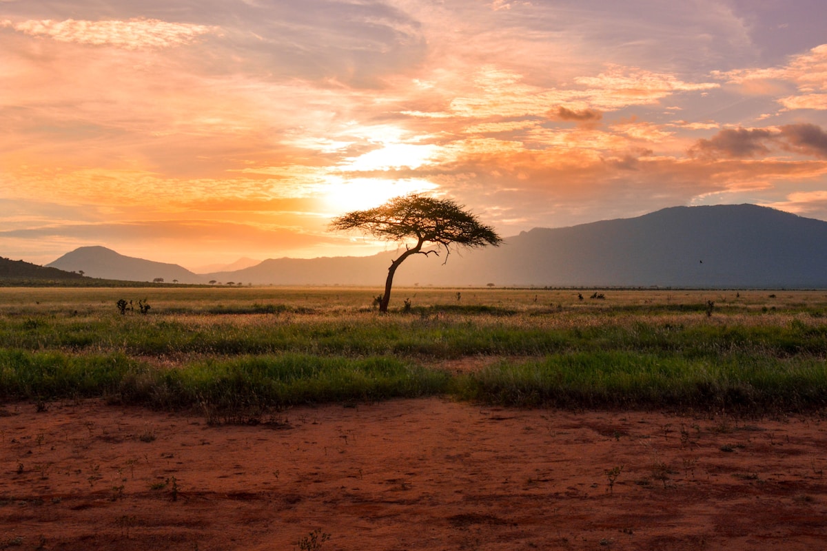 Pan-African technology coverage